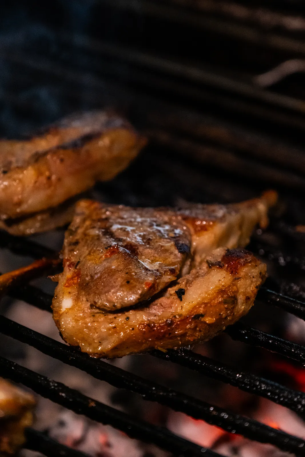 A closer look at the charcoal grill
